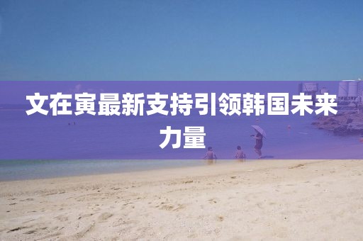 文在寅最新支持引领韩国未来力量