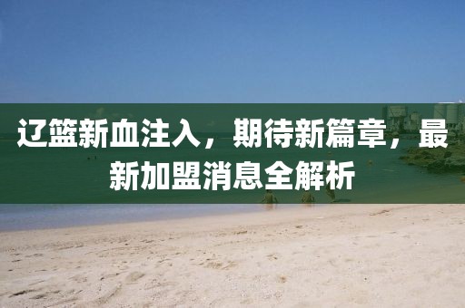 辽篮新血注入，期待新篇章，最新加盟消息全解析