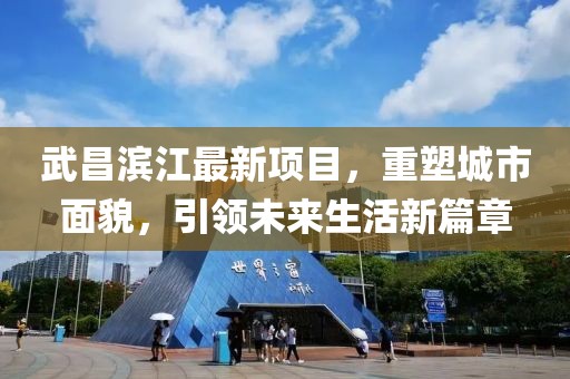 武昌滨江最新项目，重塑城市面貌，引领未来生活新篇章