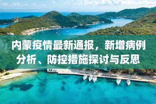 内蒙疫情最新通报，新增病例分析、防控措施探讨与反思