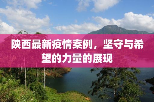 陕西最新疫情案例，坚守与希望的力量的展现