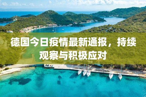 德国今日疫情最新通报，持续观察与积极应对