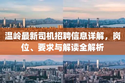 温岭最新司机招聘信息详解，岗位、要求与解读全解析
