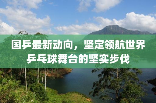 国乒最新动向，坚定领航世界乒乓球舞台的坚实步伐