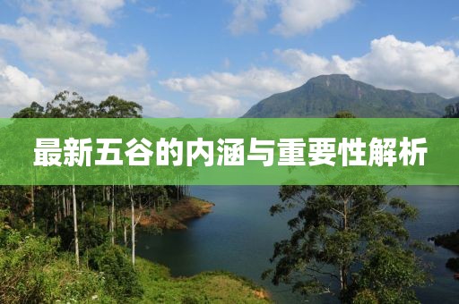 最新五谷的内涵与重要性解析