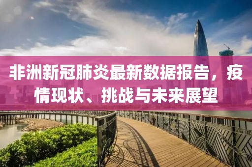非洲新冠肺炎最新数据报告，疫情现状、挑战与未来展望