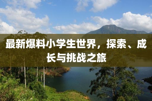 最新爆料小学生世界，探索、成长与挑战之旅