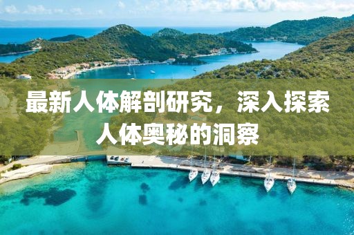 最新人体解剖研究，深入探索人体奥秘的洞察