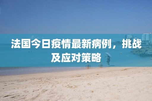 法国今日疫情最新病例，挑战及应对策略