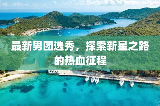最新男团选秀，探索新星之路的热血征程