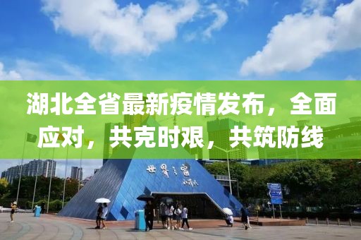 湖北全省最新疫情发布，全面应对，共克时艰，共筑防线