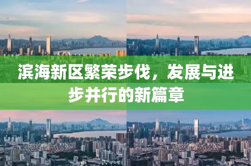 滨海新区繁荣步伐，发展与进步并行的新篇章