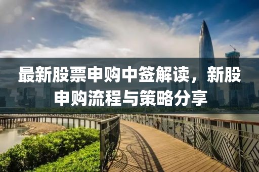 最新股票申购中签解读，新股申购流程与策略分享