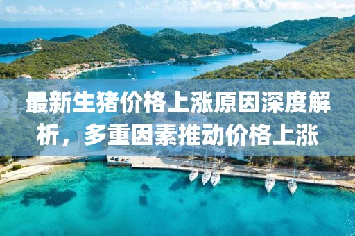 空梦 第28页