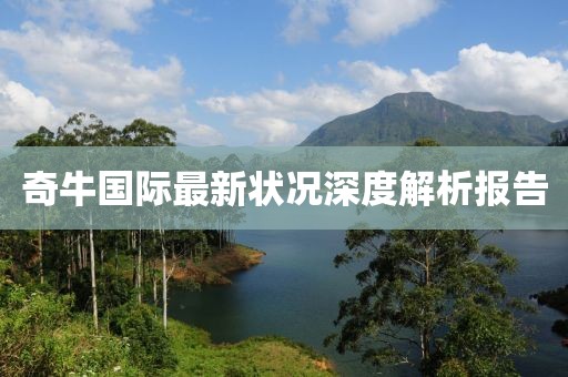 奇牛国际最新状况深度解析报告