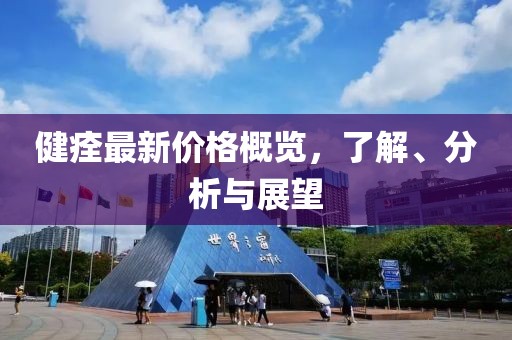 健痊最新价格概览，了解、分析与展望