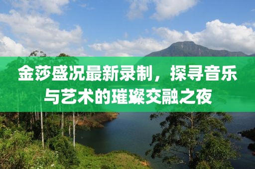 金莎盛况最新录制，探寻音乐与艺术的璀璨交融之夜