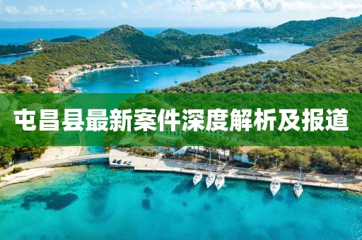 屯昌县最新案件深度解析及报道
