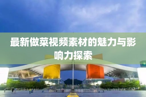 最新做菜视频素材的魅力与影响力探索