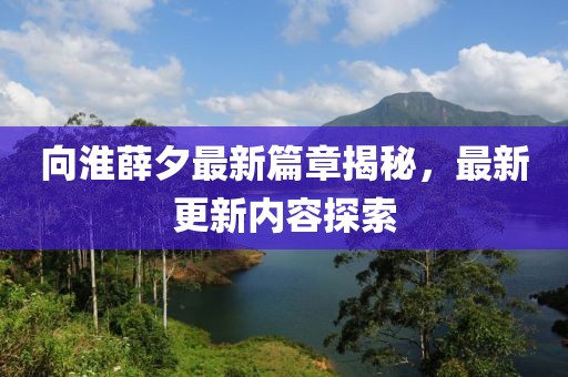 向淮薛夕最新篇章揭秘，最新更新内容探索