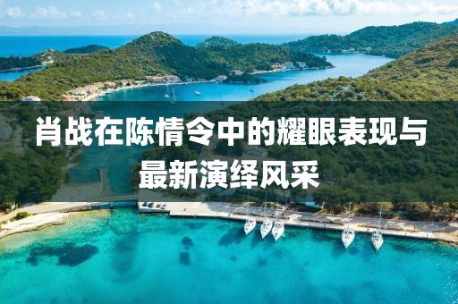 肖战在陈情令中的耀眼表现与最新演绎风采