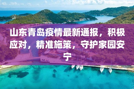 山东青岛疫情最新通报，积极应对，精准施策，守护家园安宁