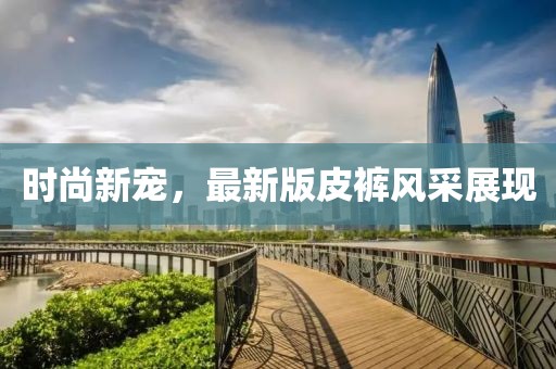 时尚新宠，最新版皮裤风采展现