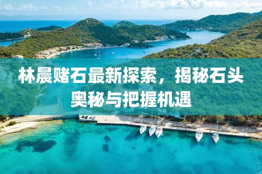 林晨赌石最新探索，揭秘石头奥秘与把握机遇