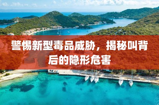 若愚 第27页