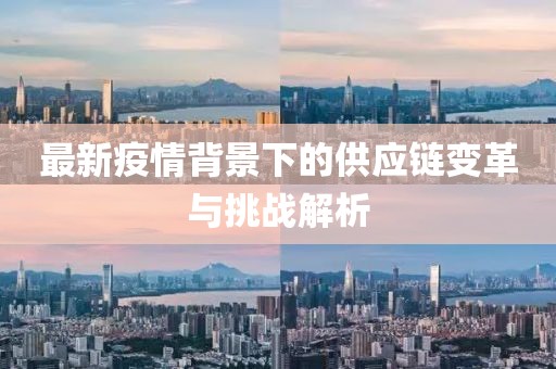 最新疫情背景下的供应链变革与挑战解析