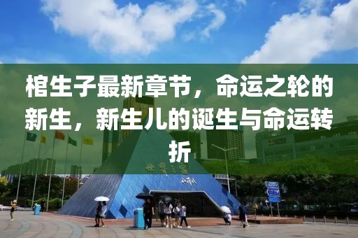 棺生子最新章节，命运之轮的新生，新生儿的诞生与命运转折