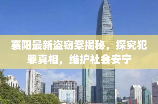 襄阳最新盗窃案揭秘，探究犯罪真相，维护社会安宁