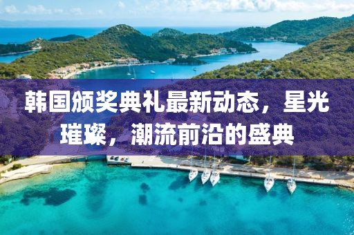 韩国颁奖典礼最新动态，星光璀璨，潮流前沿的盛典