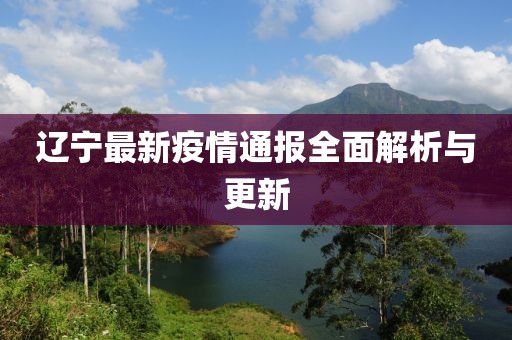 辽宁最新疫情通报全面解析与更新