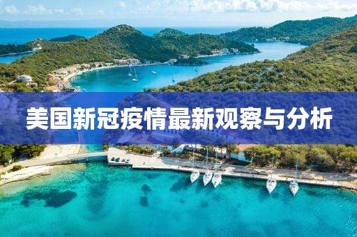 美国新冠疫情最新观察与分析