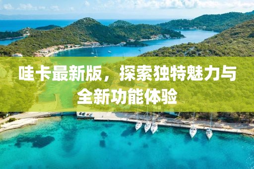 哇卡最新版，探索独特魅力与全新功能体验