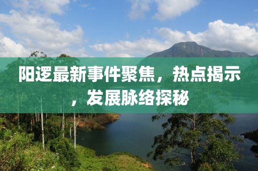 阳逻最新事件聚焦，热点揭示，发展脉络探秘