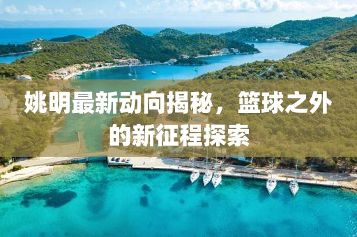 姚明最新动向揭秘，篮球之外的新征程探索