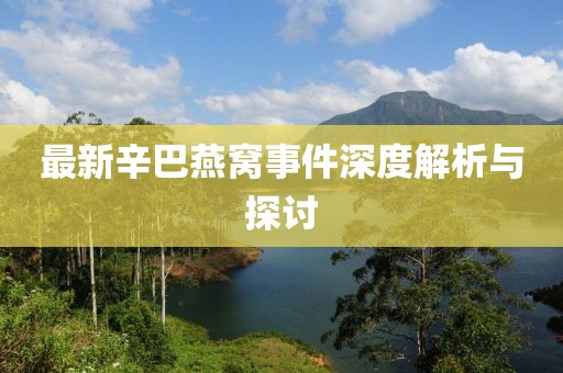 最新辛巴燕窝事件深度解析与探讨