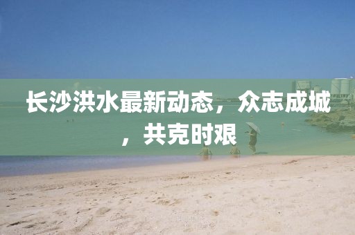 长沙洪水最新动态，众志成城，共克时艰