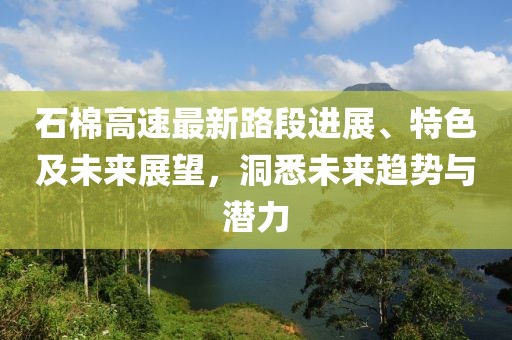 石棉高速最新路段进展、特色及未来展望，洞悉未来趋势与潜力