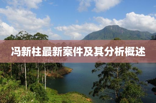 冯新柱最新案件及其分析概述