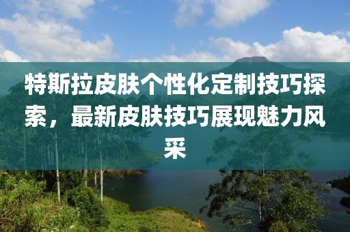 特斯拉皮肤个性化定制技巧探索，最新皮肤技巧展现魅力风采