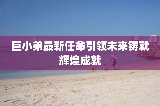 巨小弟最新任命引领未来铸就辉煌成就