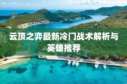云顶之弈最新冷门战术解析与英雄推荐