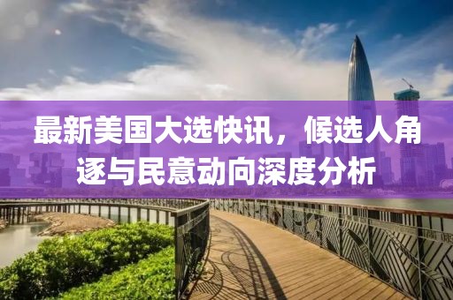 最新美国大选快讯，候选人角逐与民意动向深度分析