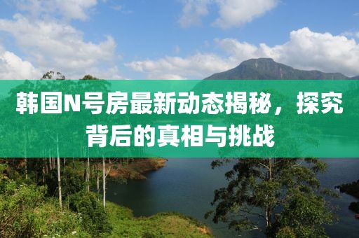 韩国N号房最新动态揭秘，探究背后的真相与挑战