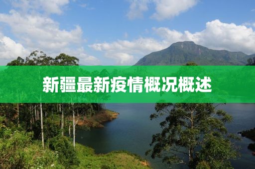 新疆最新疫情概况概述