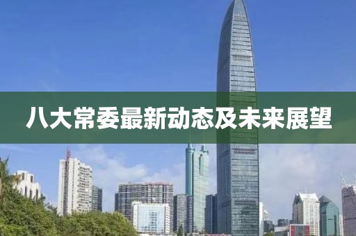 八大常委最新动态及未来展望