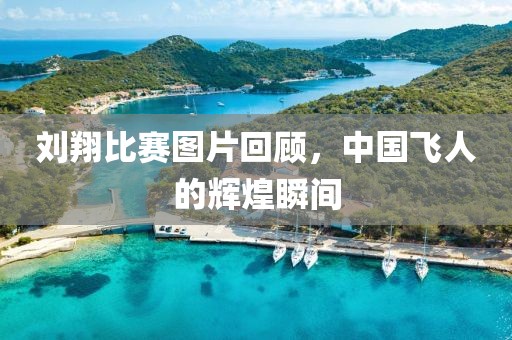 刘翔比赛图片回顾，中国飞人的辉煌瞬间